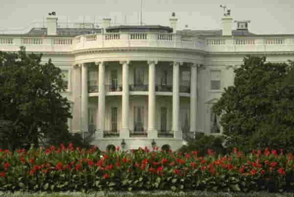 white house.JPG